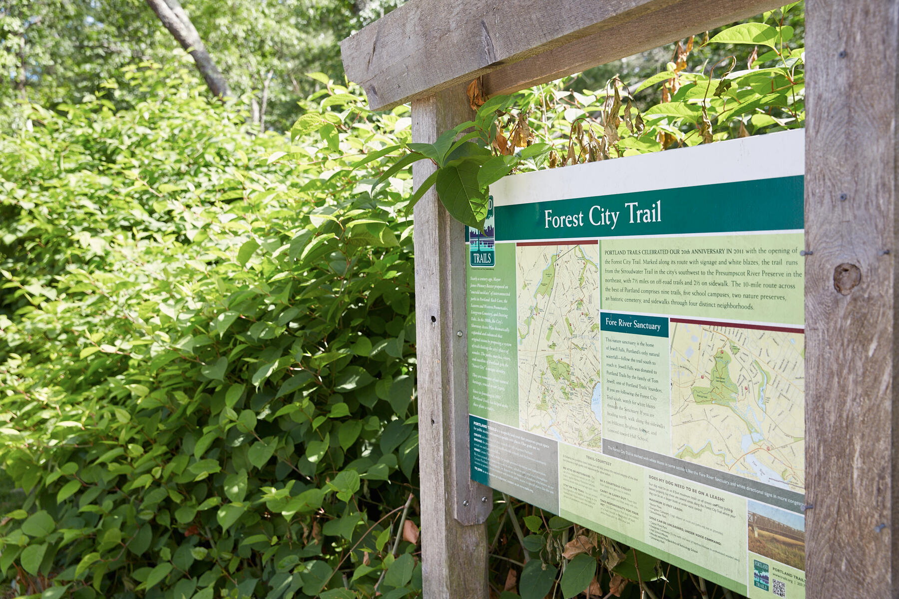 36 Colonial Road Portland, ME 04102 - Photo 46 of 49 ForeRiver2