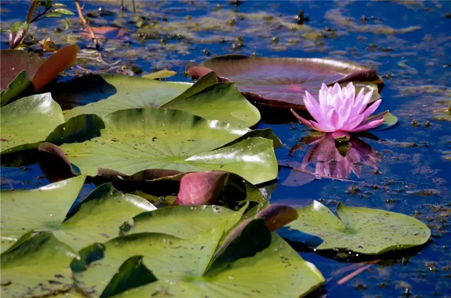 $325,000 | 16009 Fontana Street, Unit 240, Overland Park, KS 66085