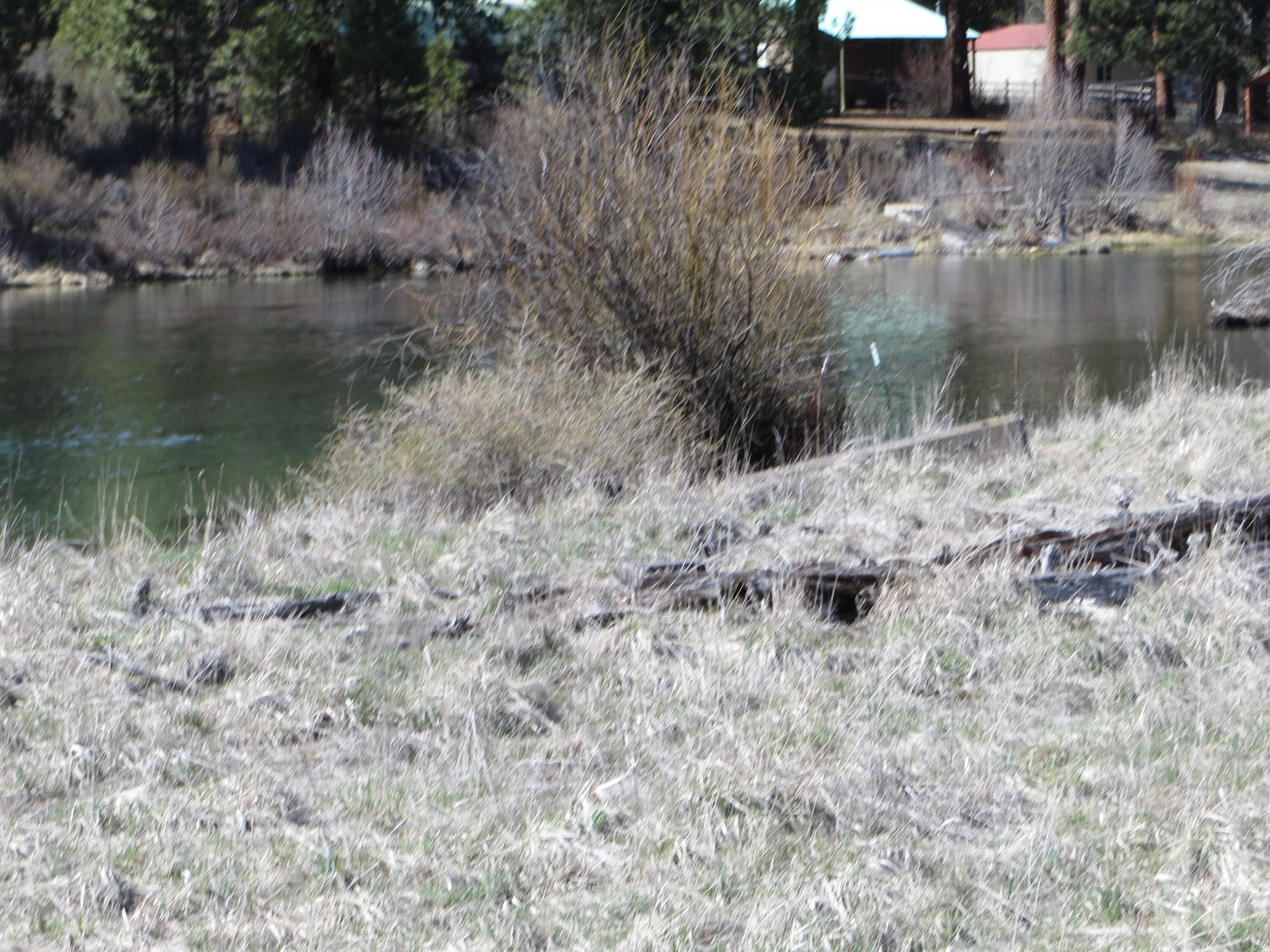 0 Longhorn Loop, Unit 26 Chiloquin, OR 97624 - Photo 8 of 14 Willaimson River is great for kayaking also