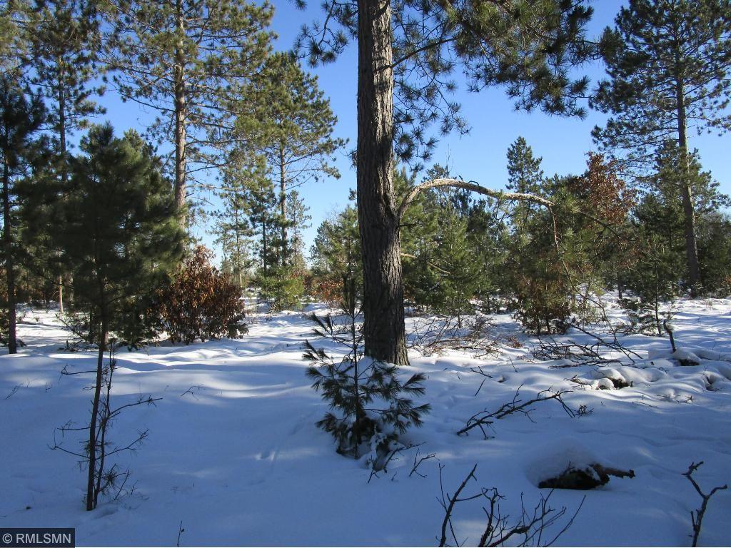 Xxx St Croix Trail Road Minong, WI 54859 - Photo 1 of 1 Gallery Image 1