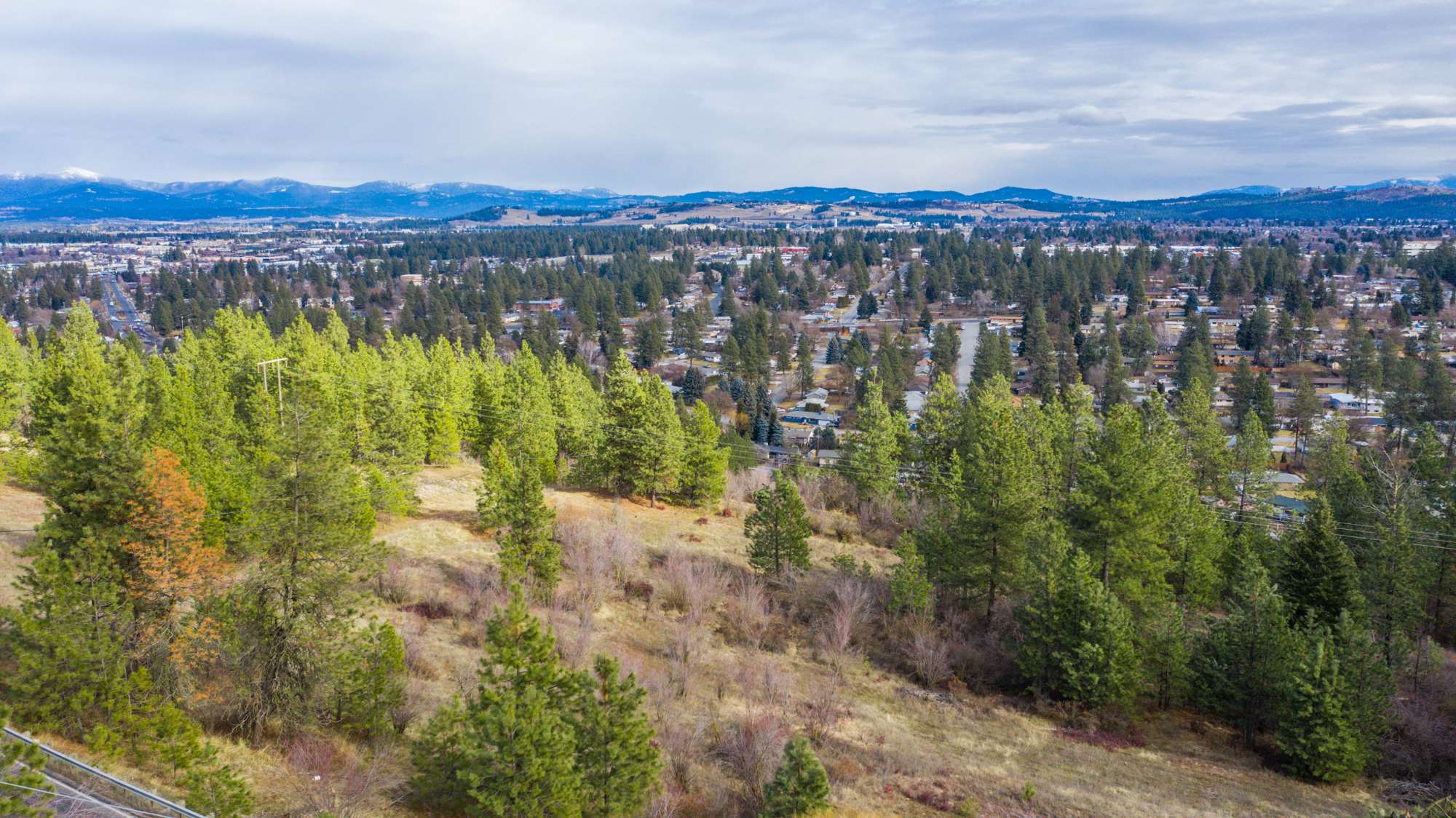 7728 North Cedar Road Spokane, WA 99208 - Photo 11 of 34 Gallery Image 11