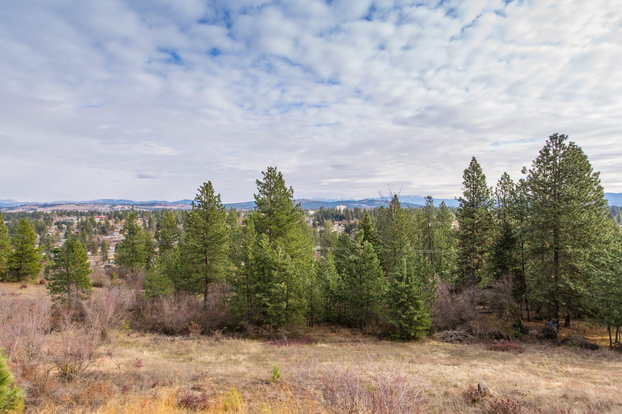 7728 North Cedar Road Spokane, WA 99208 - Photo 27 of 34 Gallery Image 27