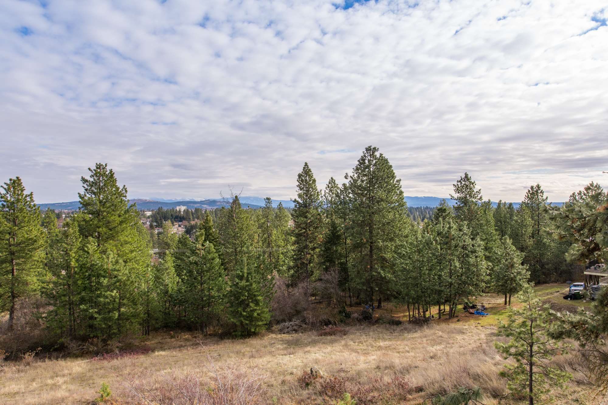 7728 North Cedar Road Spokane, WA 99208 - Photo 28 of 34 Gallery Image 28