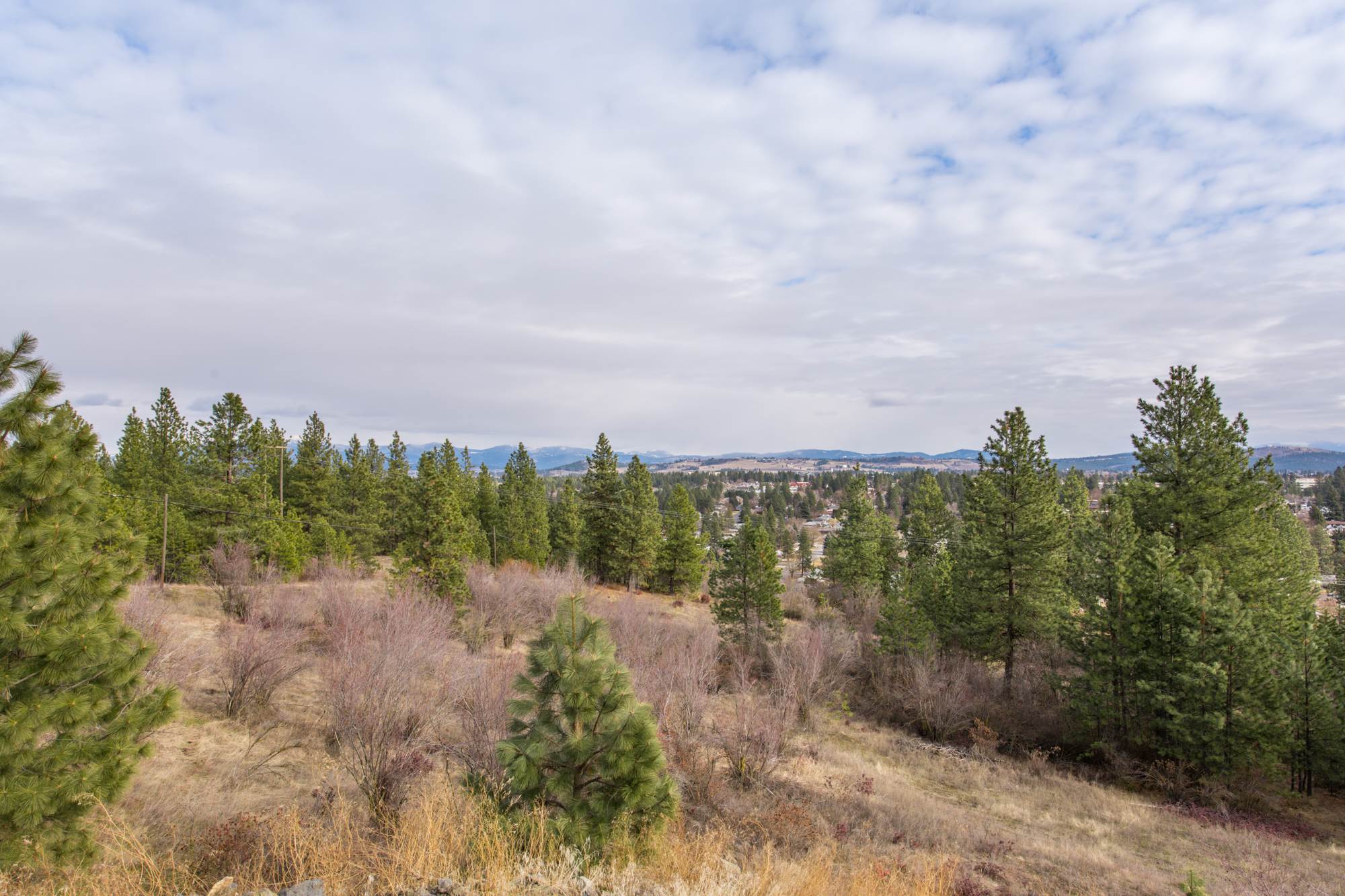 7728 North Cedar Road Spokane, WA 99208 - Photo 29 of 34 Gallery Image 29