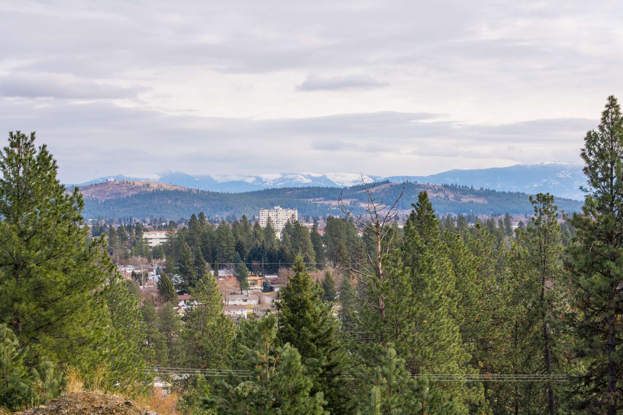 7728 North Cedar Road Spokane, WA 99208 - Photo 33 of 34 Gallery Image 33