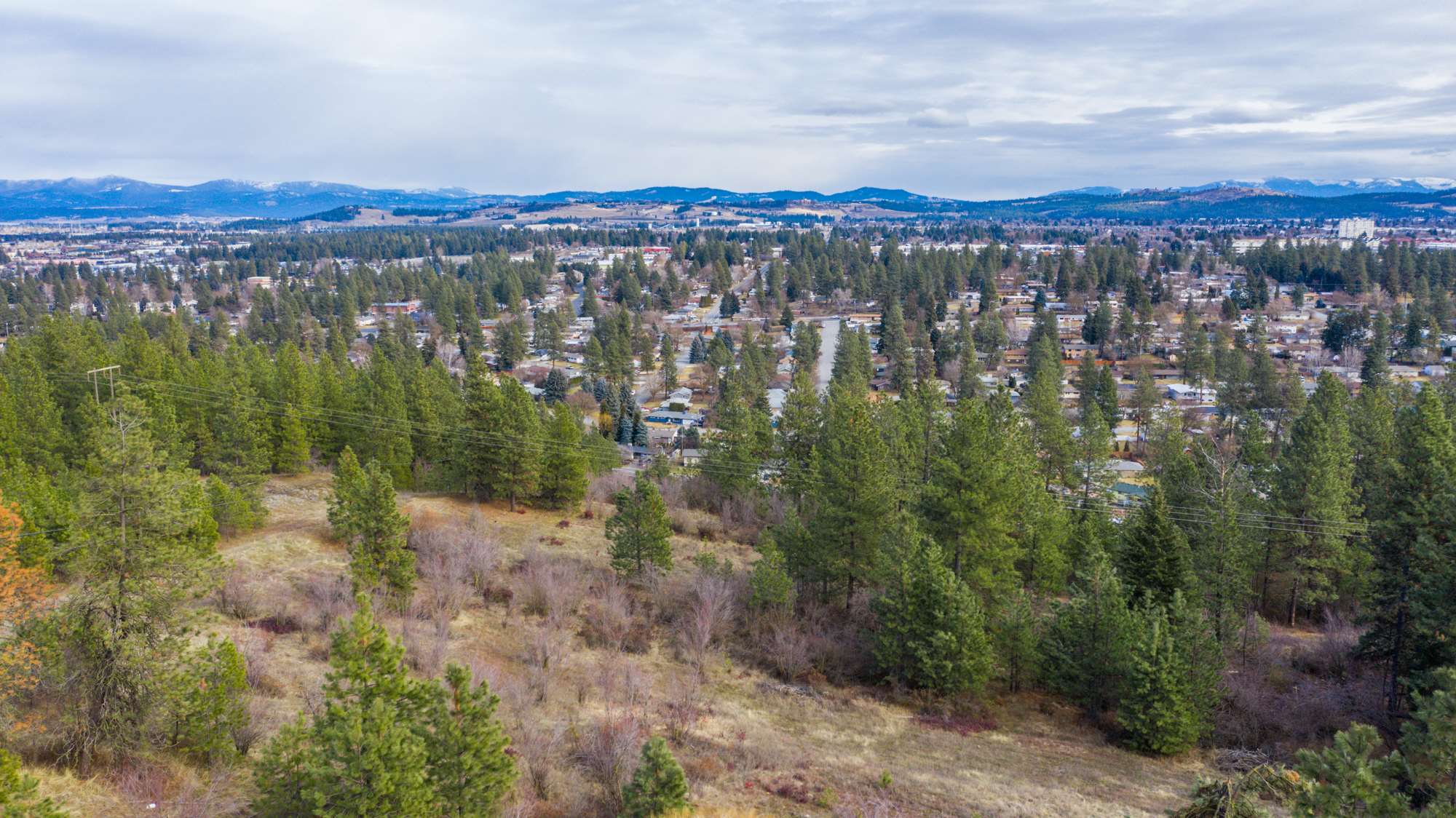 7728 North Cedar Road Spokane, WA 99208 - Photo 5 of 34 Gallery Image 5