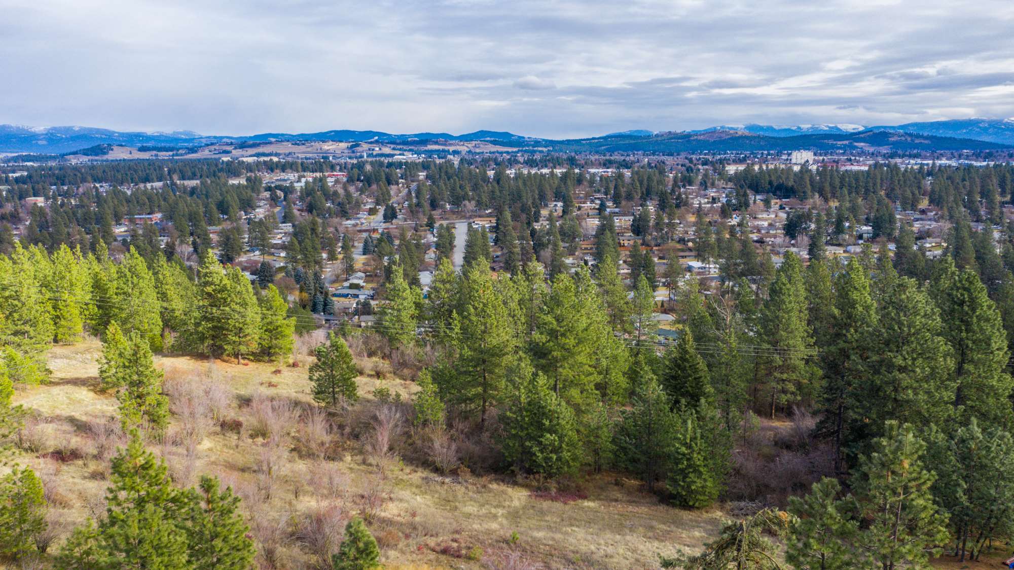 7728 North Cedar Road Spokane, WA 99208 - Photo 10 of 34 Gallery Image 10