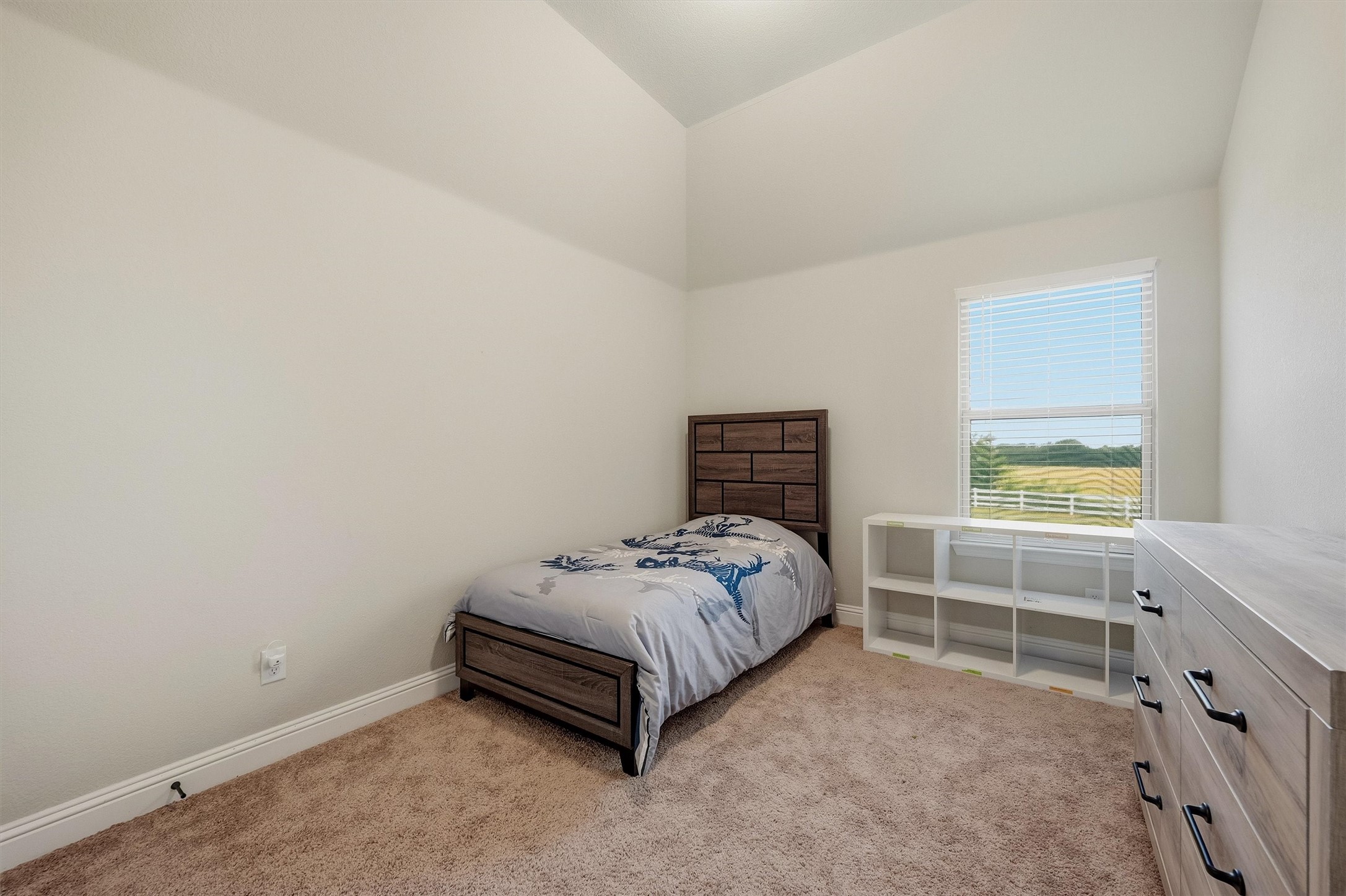 1120 Cedar Street Howe, TX 75459 - Photo 28 of 48