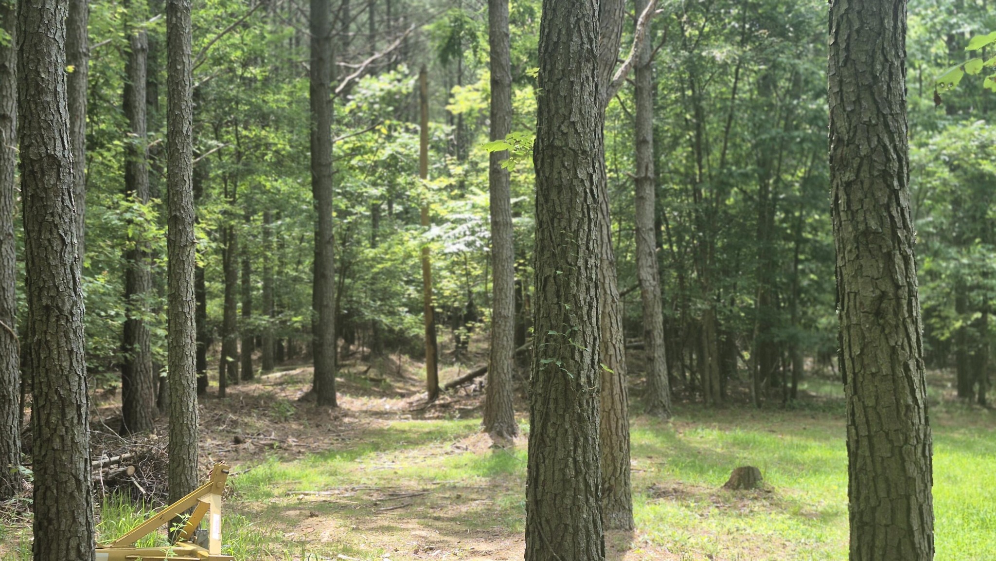 4560 Raulston Falls Drive Jasper, TN 37347 - Photo 27 of 49