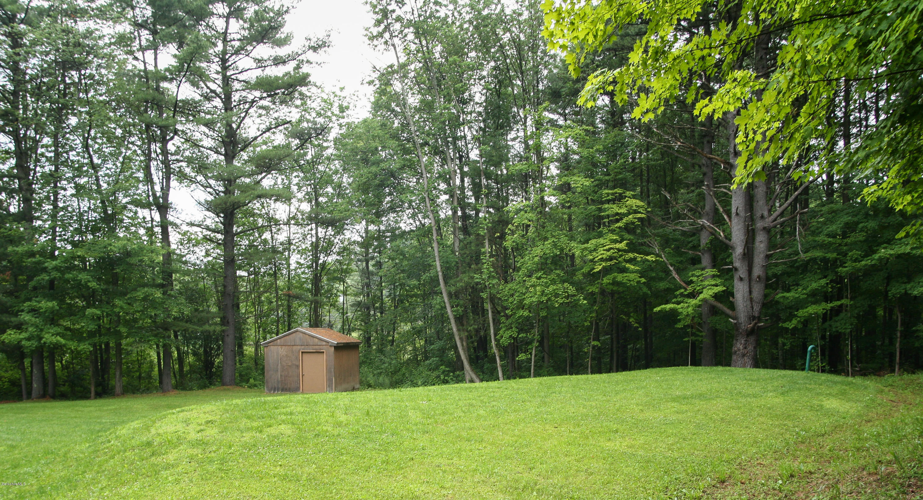 Back Yard with Shed