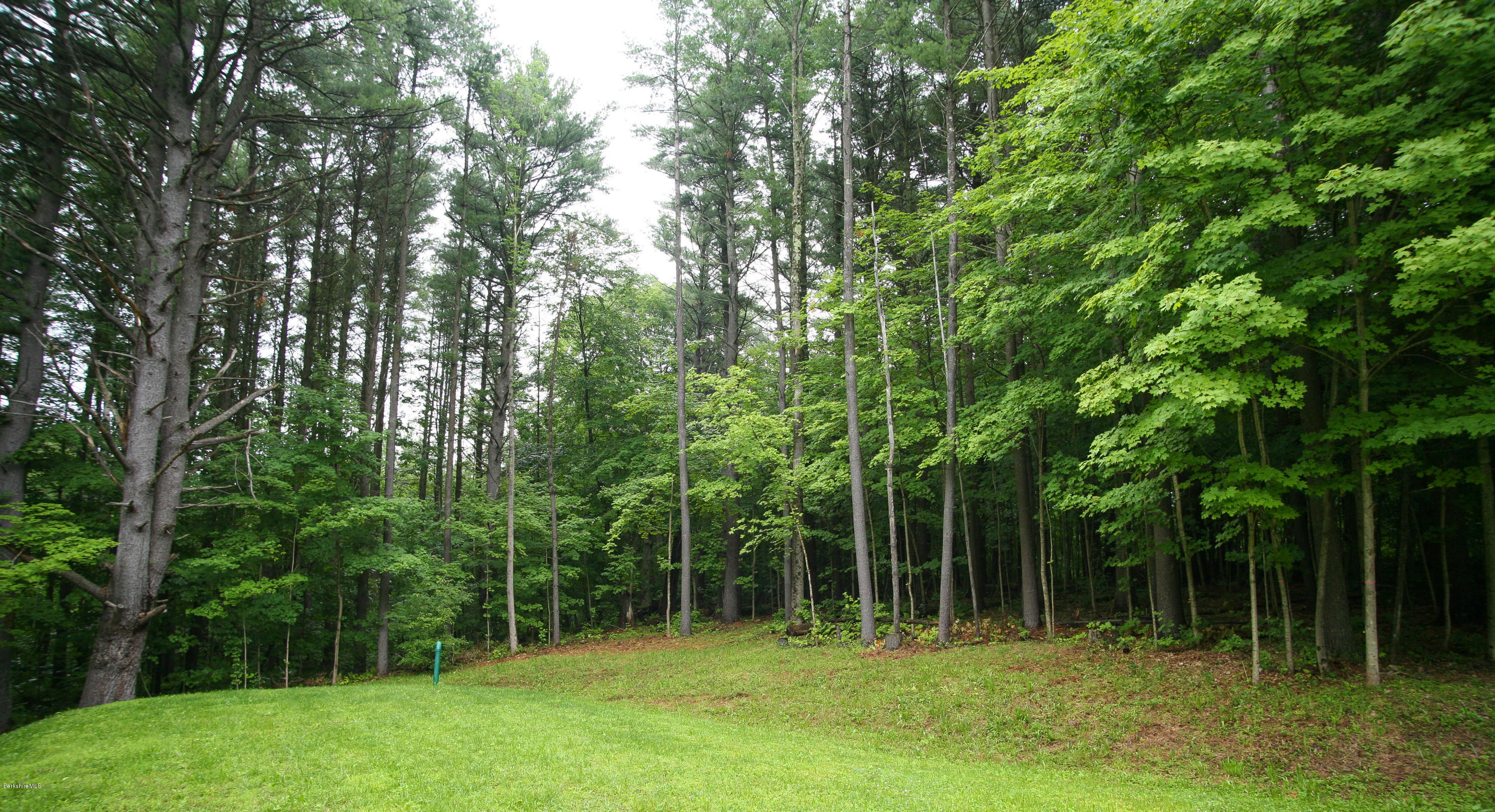 1799 Dublin Road Richmond, MA 01254 - Photo 10 of 30 back yard