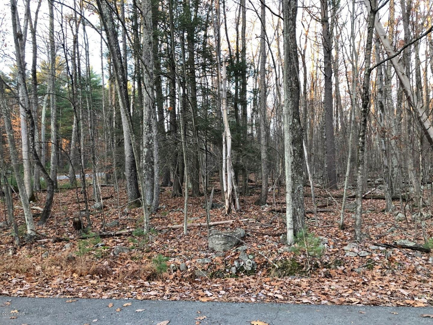 18 Crane Road Lakeville, PA 18438 - Photo 3 of 9