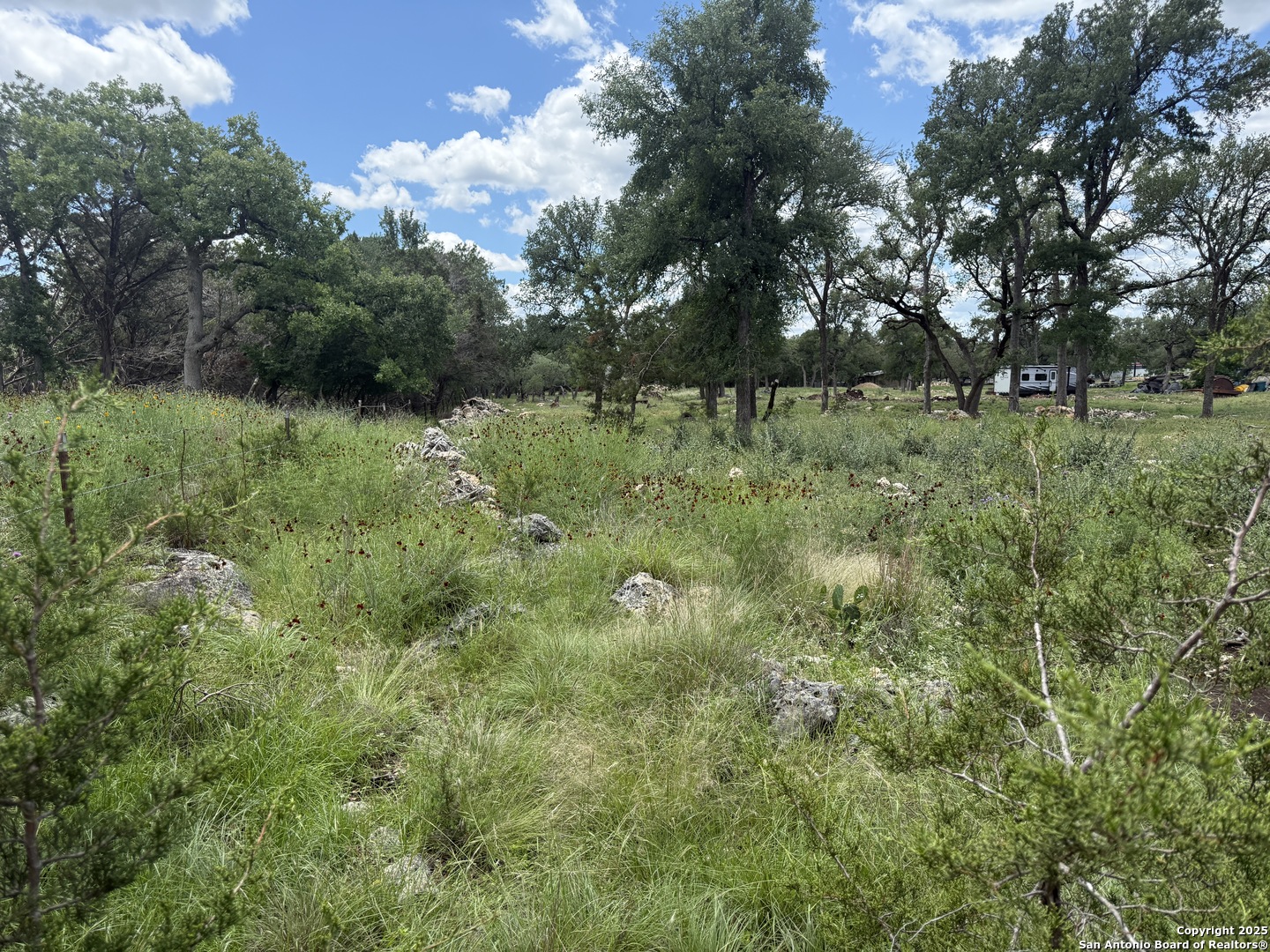 30602 Krueger Road Bulverde, TX 78163 - Photo 11 of 26