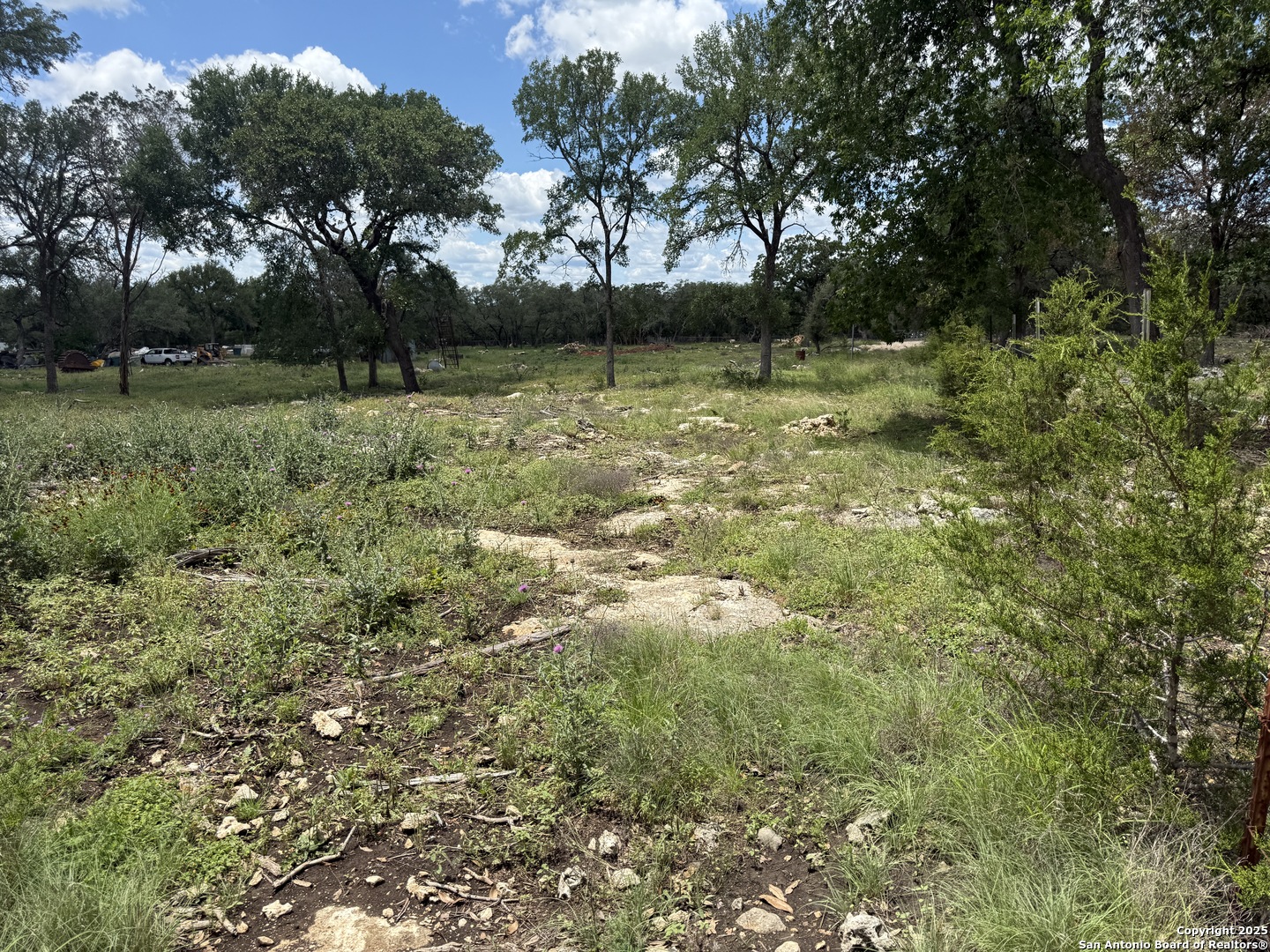 30602 Krueger Road Bulverde, TX 78163 - Photo 12 of 26