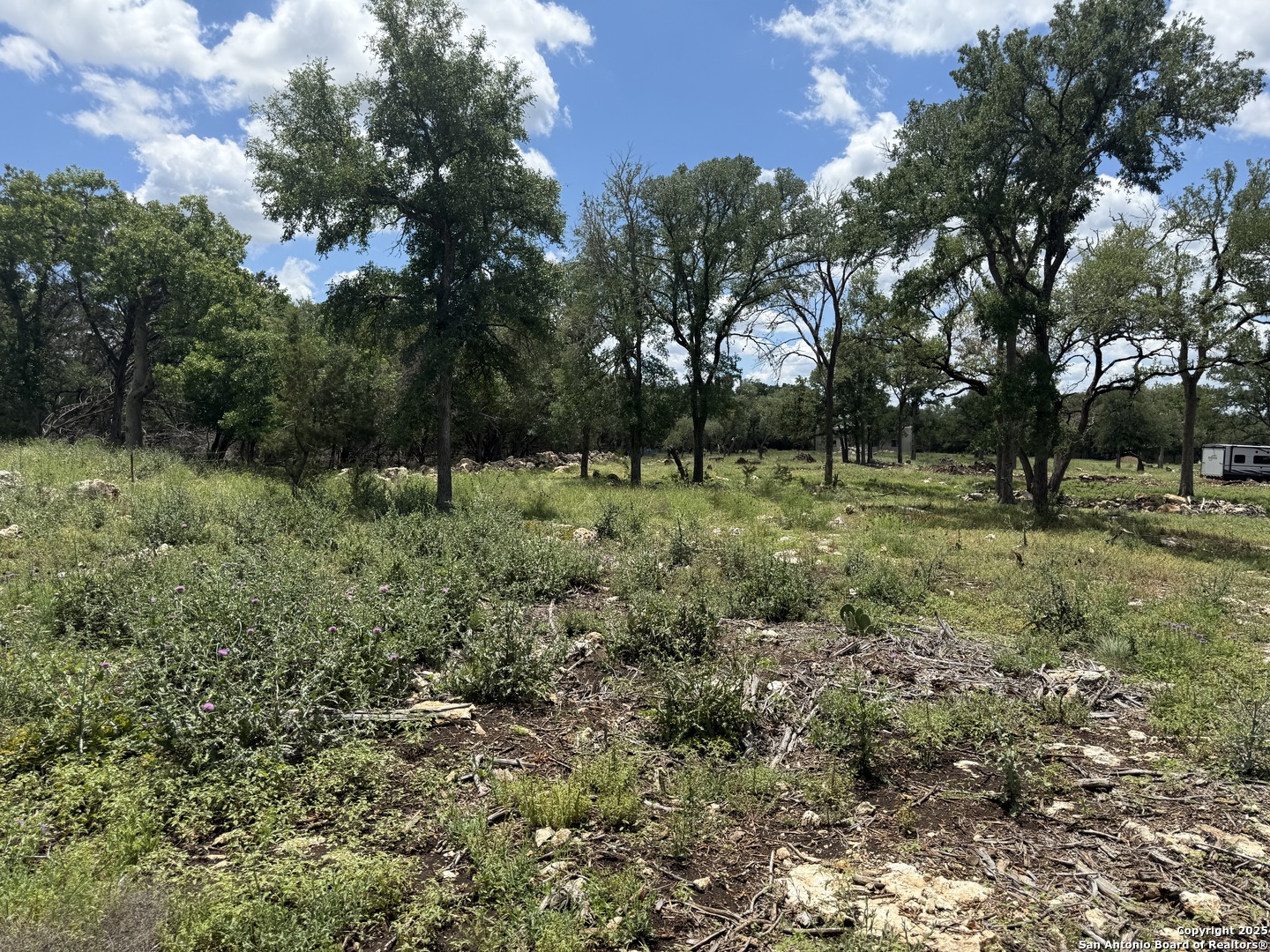 30602 Krueger Road Bulverde, TX 78163 - Photo 14 of 26
