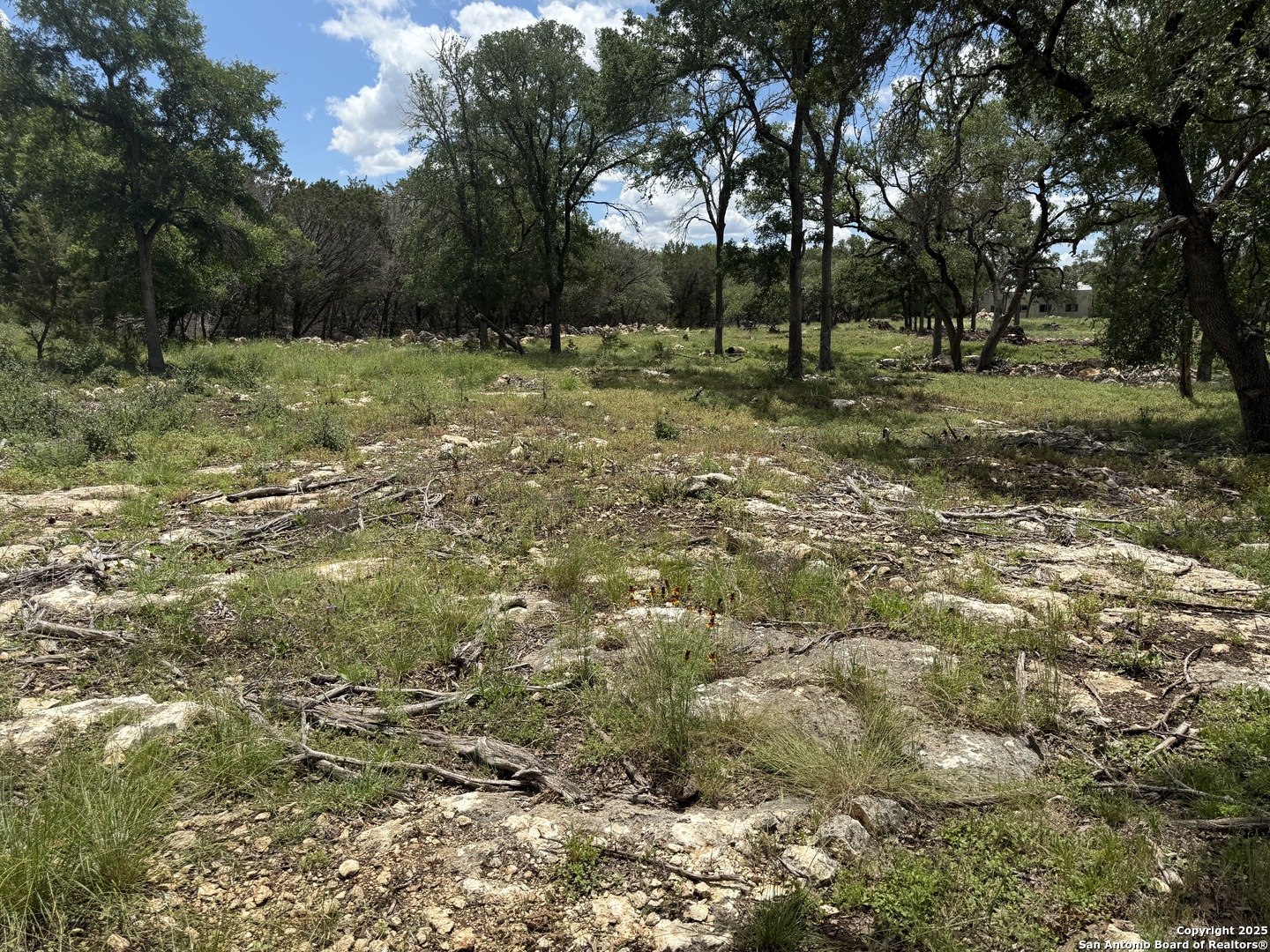 30602 Krueger Road Bulverde, TX 78163 - Photo 16 of 26