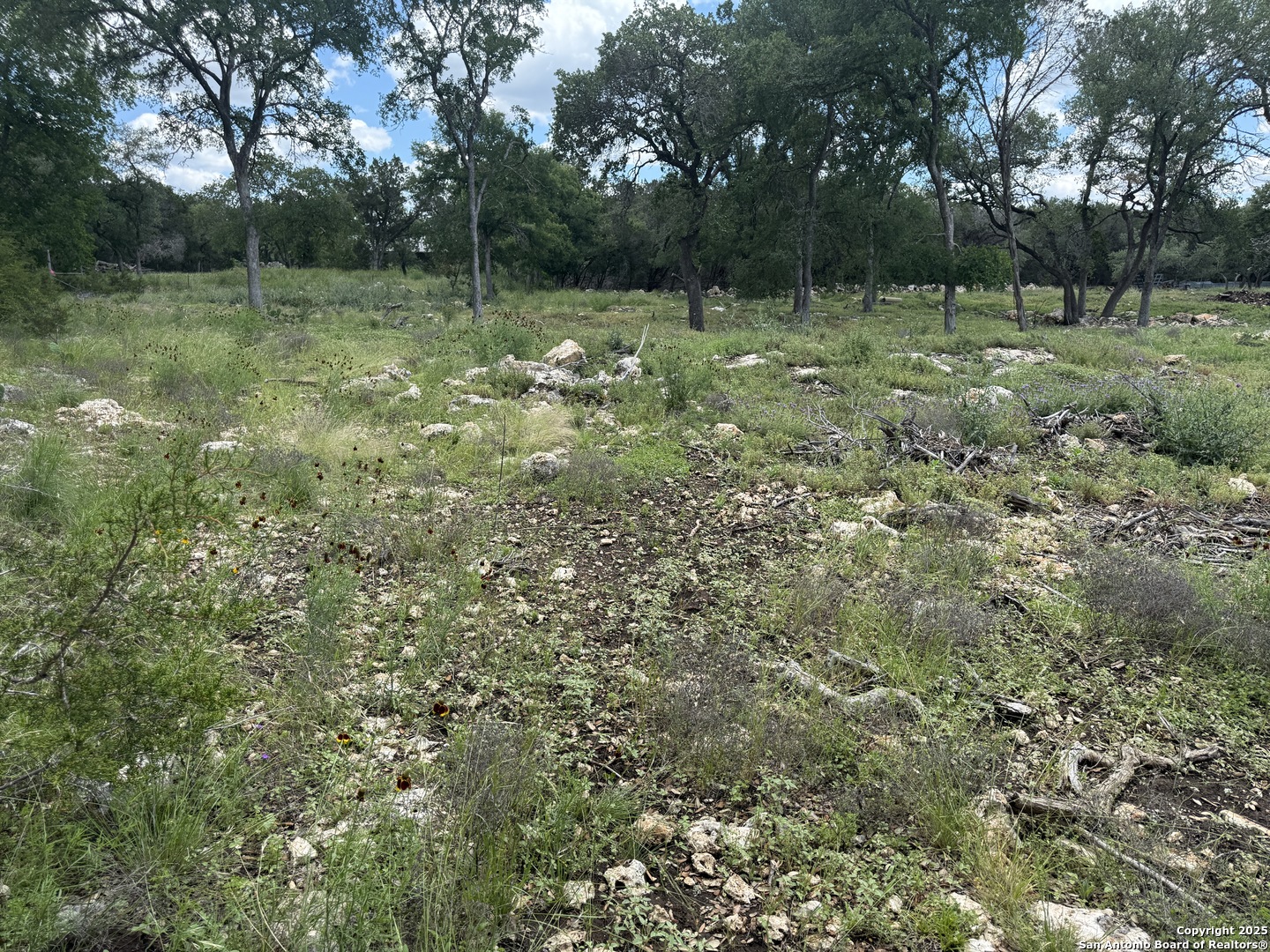 30602 Krueger Road Bulverde, TX 78163 - Photo 20 of 26