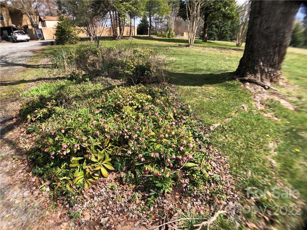 178 Skyview Ridge Rutherfordton, NC 28139 - Photo 36 of 43 a view of a garden with large trees