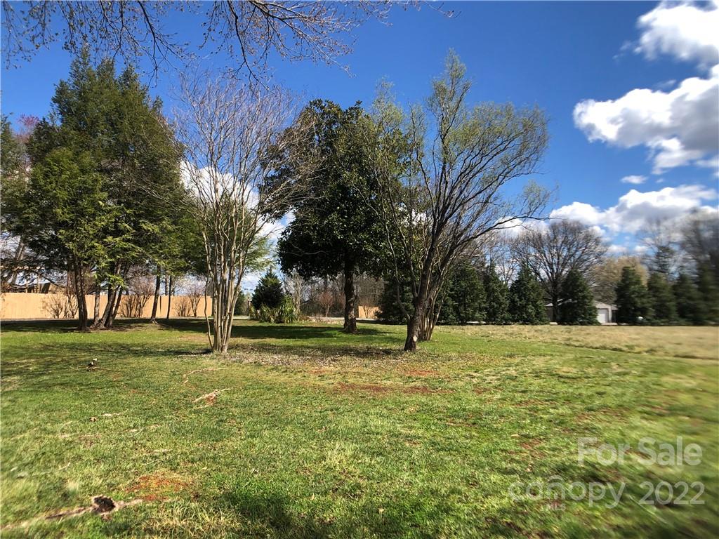 178 Skyview Ridge Rutherfordton, NC 28139 - Photo 5 of 43 a tall tree in middle of green field