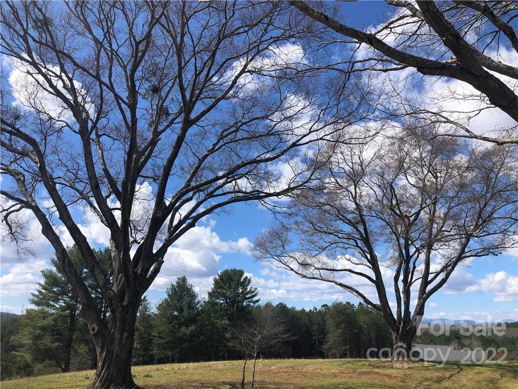 178 Skyview Ridge Rutherfordton, NC 28139 - Photo 6 of 43 a view of road with a trees
