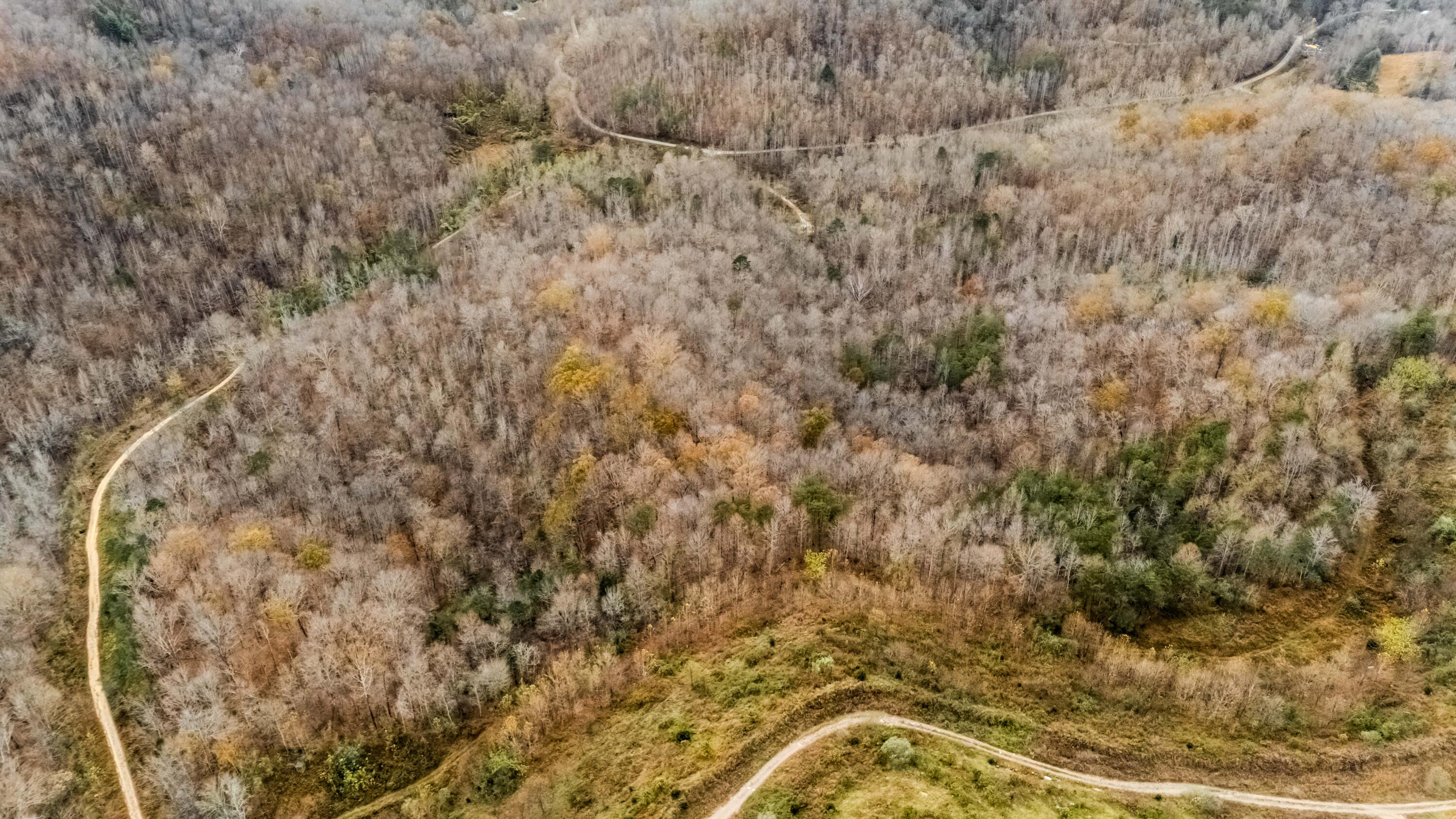 0 Maple Creek Road Williamsburg, KY 40769 - Photo 35 of 35 Meadow Creek 6