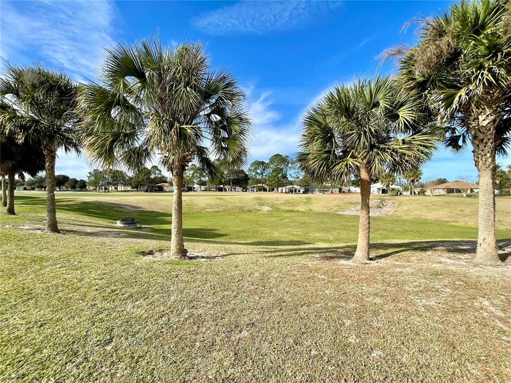 15338 Southwest 14th Avenue Road Ocala, FL 34473 - Photo 12 of 17 a view of a park with palm trees