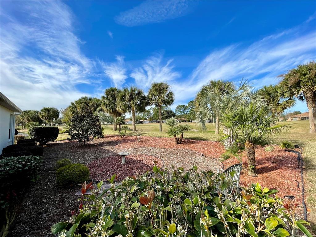 15338 Southwest 14th Avenue Road Ocala, FL 34473 - Photo 10 of 17 a view of a yard with plants and a trees