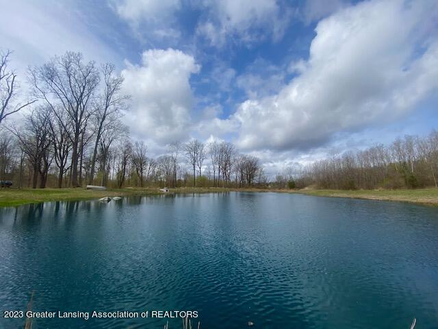 4417 West Britton Road Perry, MI 48872 - Photo 2 of 25 IMG_5581