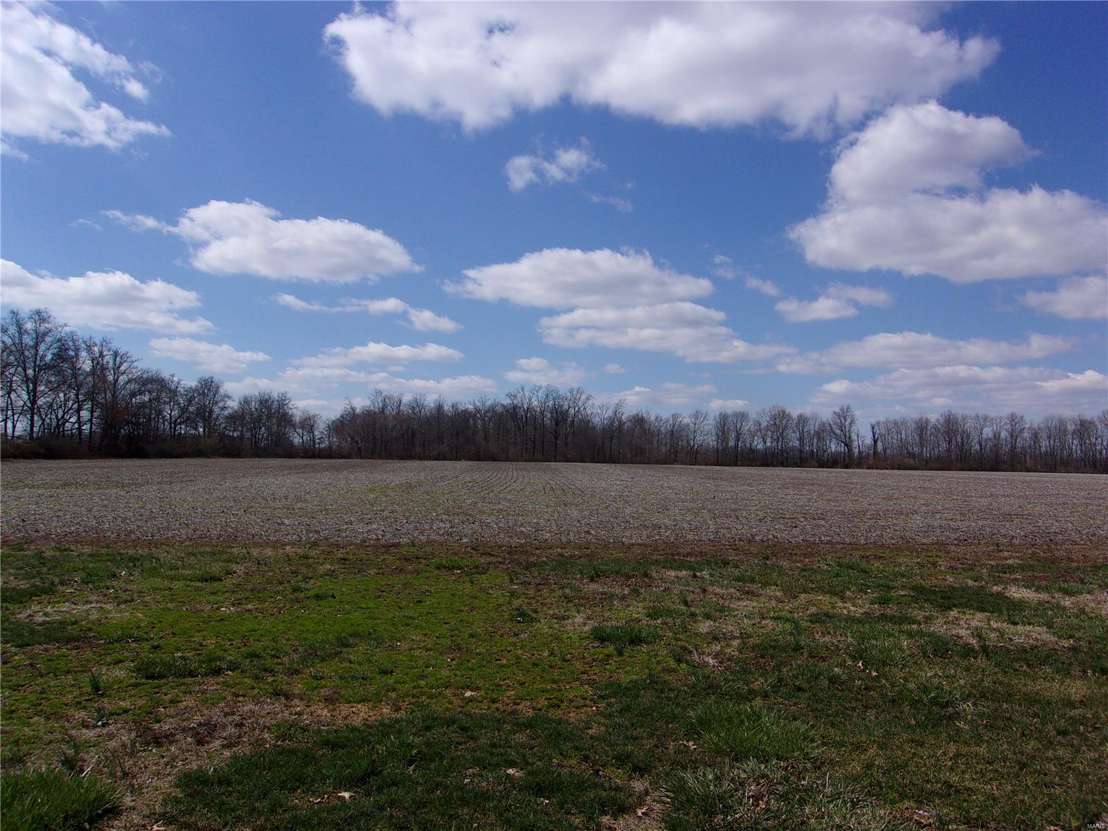 3262 Burning Star 2 Road Du Quoin, IL 62832 - Photo 1 of 1