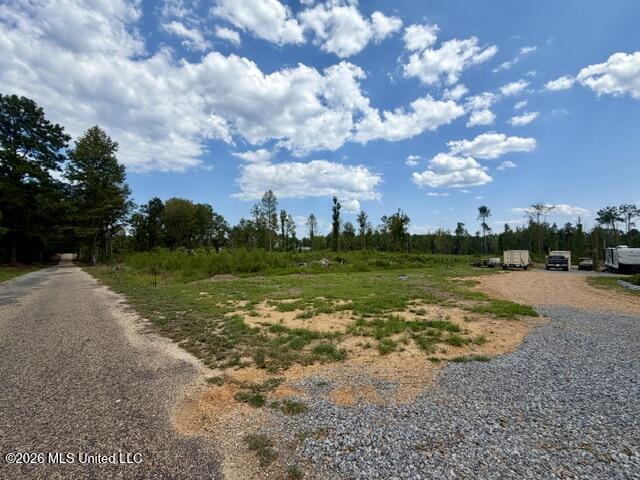 71 Fulgham Road Tylertown, MS 39667 - Photo 14 of 15 IMG_1466