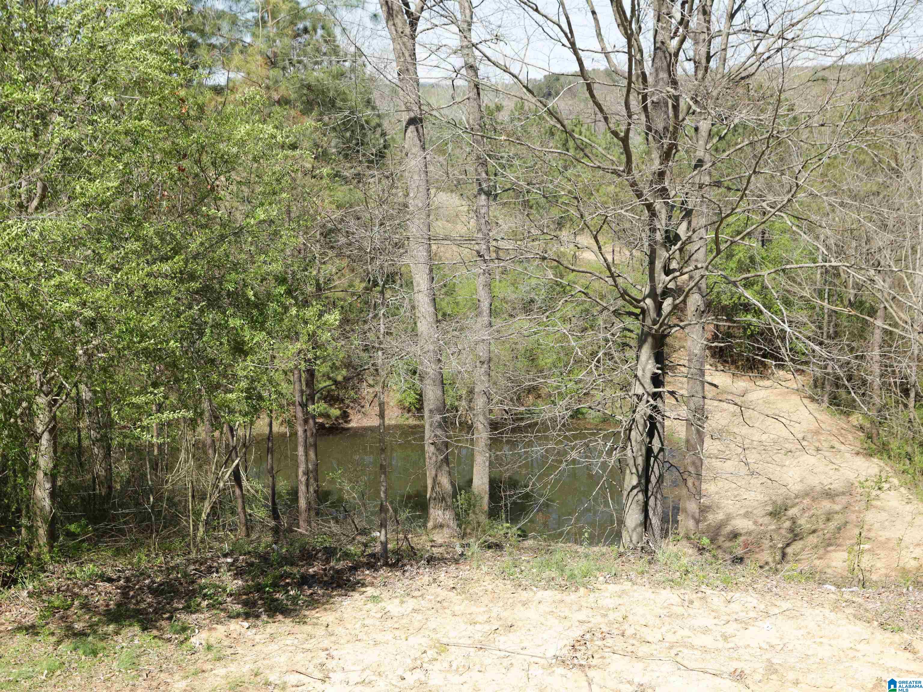 879 Timmerman Road Blountsville, AL 35031 - Photo 5 of 72