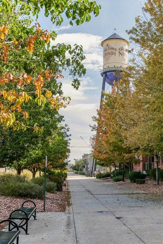 a view of a yard with plants and large trees