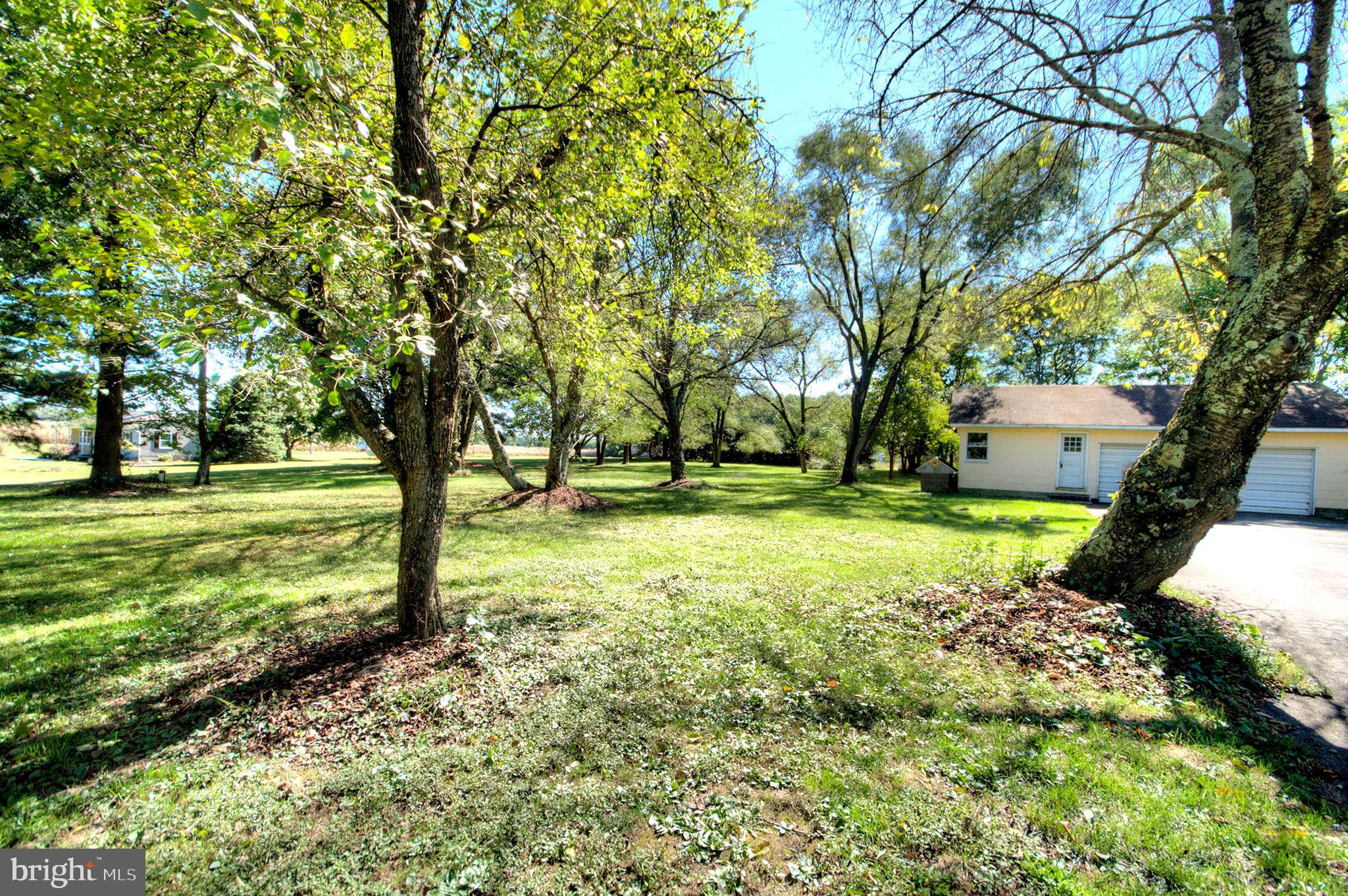433 Ferrell Road Mullica Hill, NJ 08062 - Photo 19 of 21