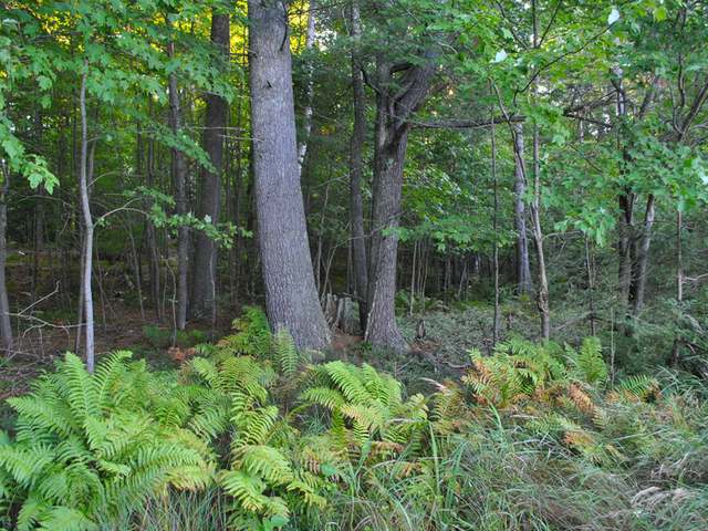 On Ayla Lane Eagle River, WI 54521 - Photo 7 of 7 Gallery Image 7