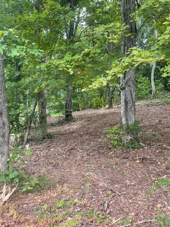 $30,000 | Lot 35 Chimney Top Lane, Unit 35, Chuckey, TN 37641