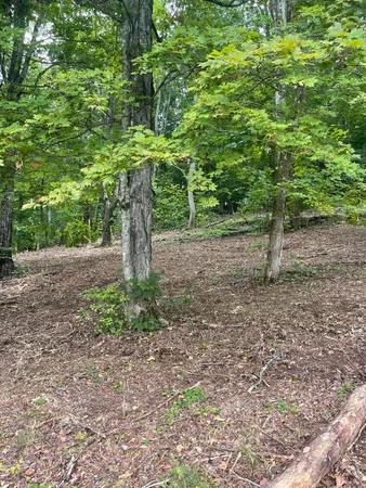 $30,000 | Lot 35 Chimney Top Lane, Unit 35, Chuckey, TN 37641