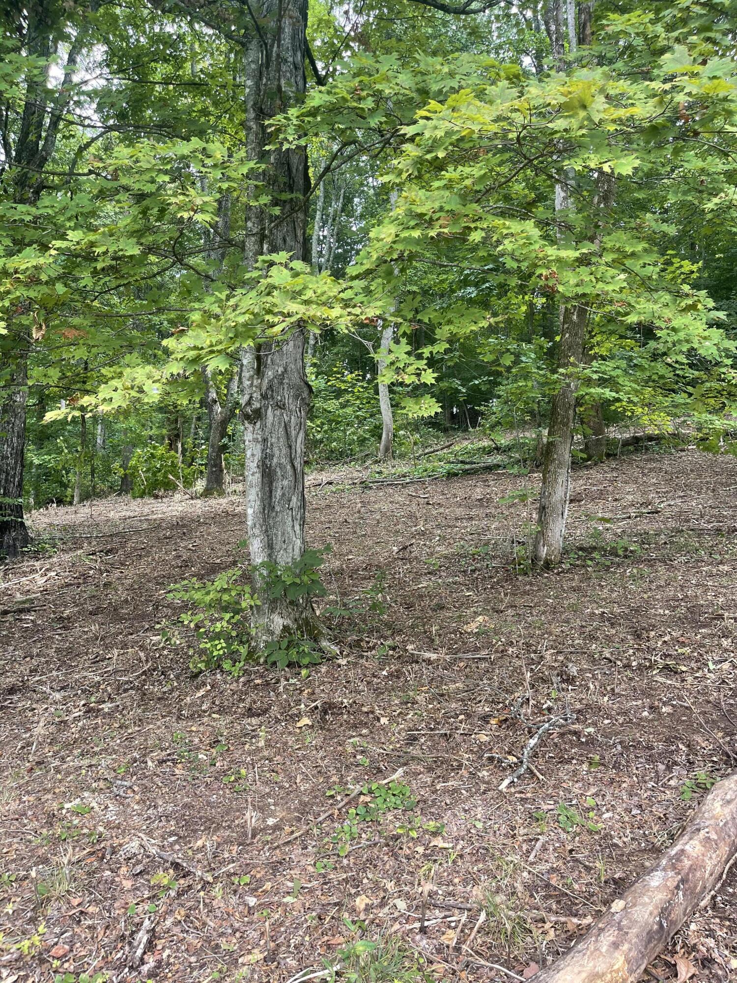 Lot 35 Chimney Top Lane, Unit 35 Chuckey, TN 37641 - Photo 2 of 9 6E7E8E2F-7B92-443B-929A-2DAE4B11CAF9