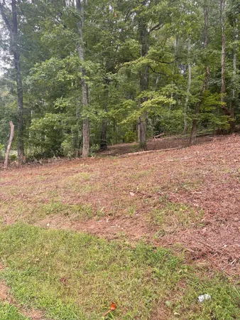 $30,000 | Lot 35 Chimney Top Lane, Unit 35, Chuckey, TN 37641