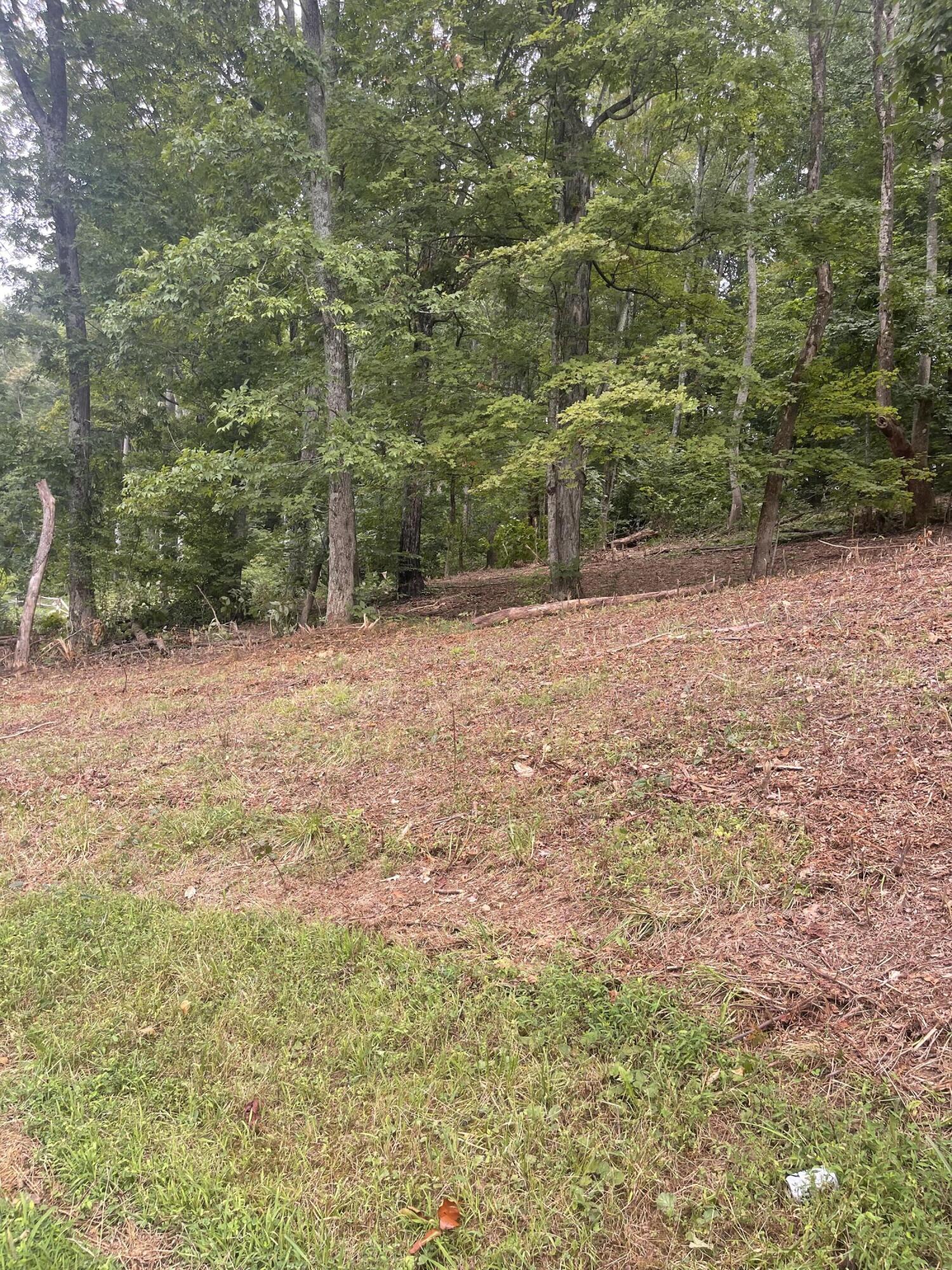 Lot 35 Chimney Top Lane, Unit 35 Chuckey, TN 37641 - Photo 3 of 9 87D233A0-9952-4D96-8361-E6DBF76D37CD