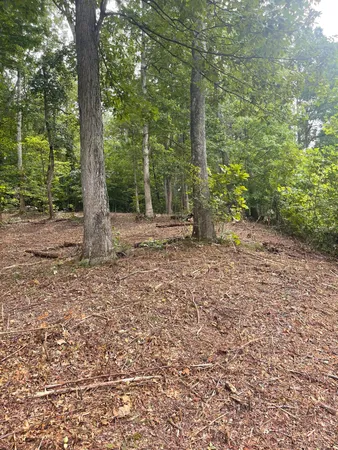 $30,000 | Lot 35 Chimney Top Lane, Unit 35, Chuckey, TN 37641