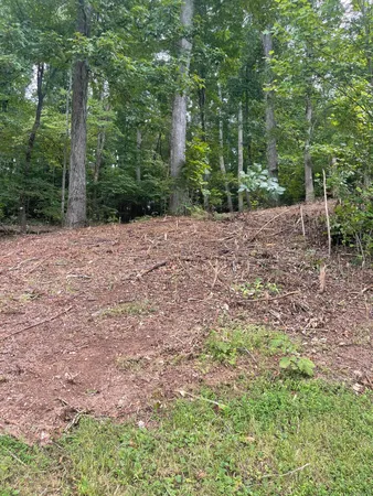 $30,000 | Lot 35 Chimney Top Lane, Unit 35, Chuckey, TN 37641