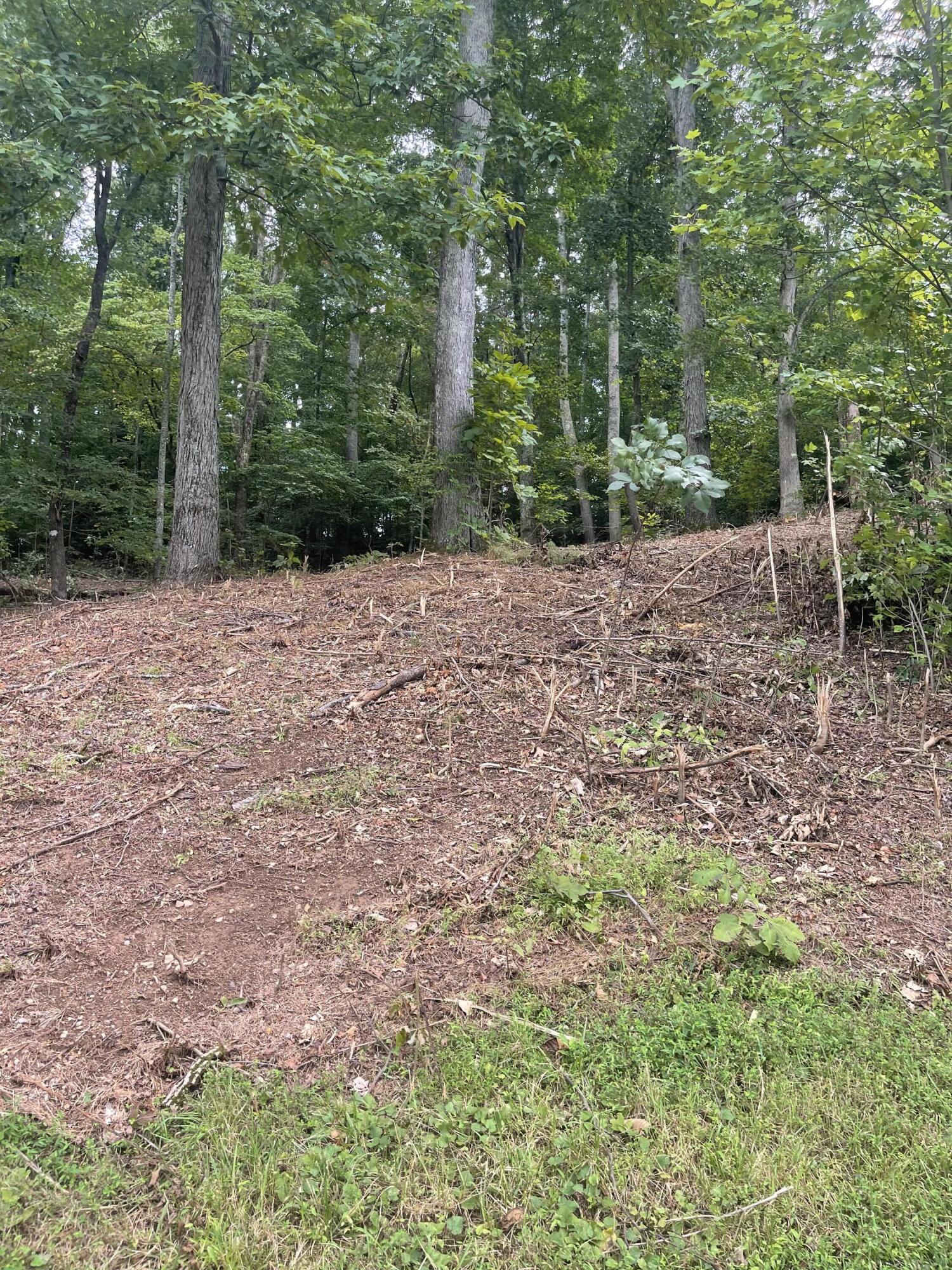 Lot 35 Chimney Top Lane, Unit 35 Chuckey, TN 37641 - Photo 6 of 9 550198A3-3108-4A54-ADAE-130399F5557F
