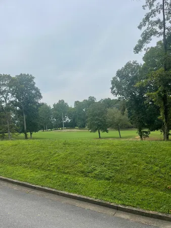 $30,000 | Lot 35 Chimney Top Lane, Unit 35, Chuckey, TN 37641