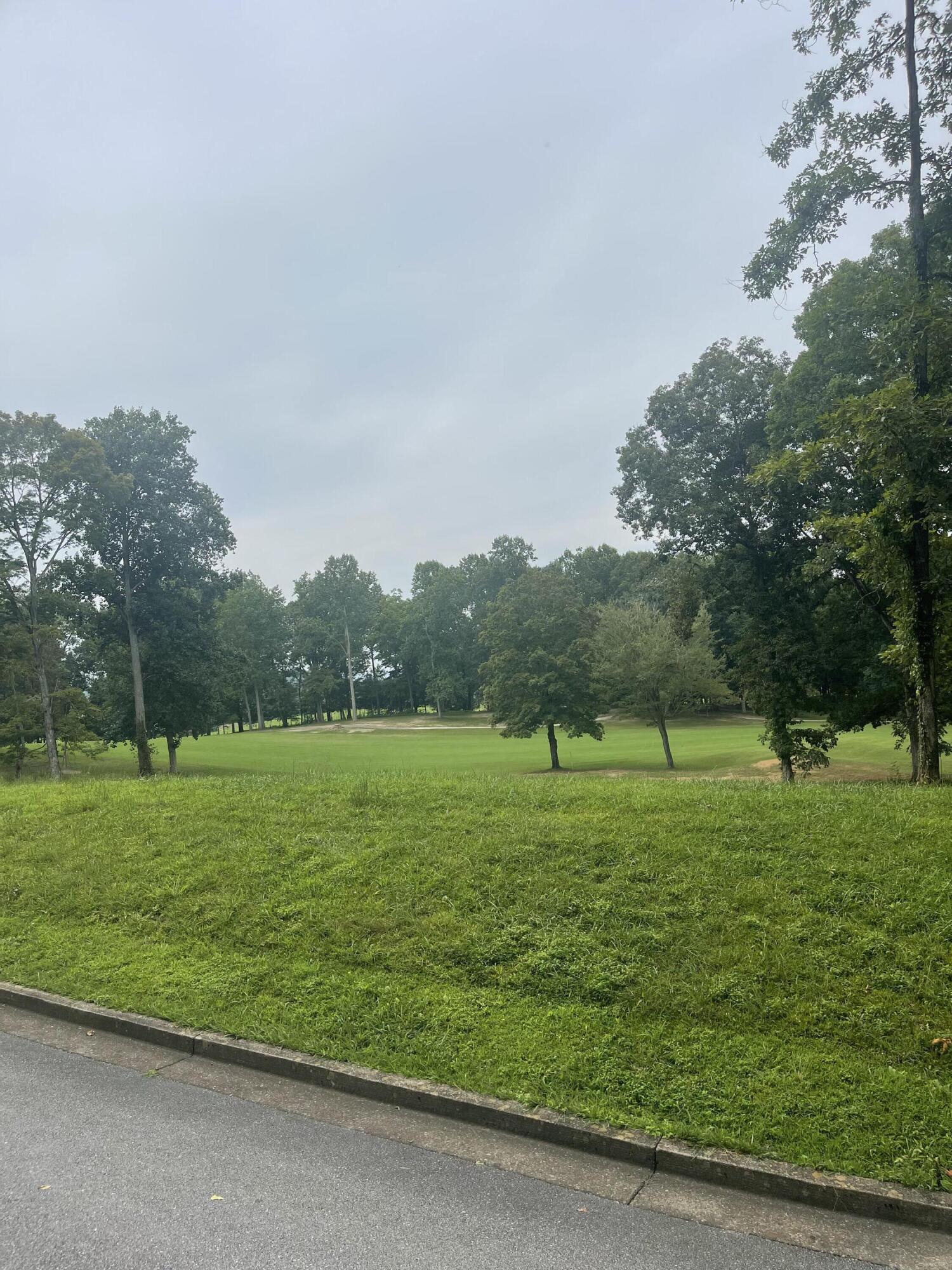 Lot 35 Chimney Top Lane, Unit 35 Chuckey, TN 37641 - Photo 7 of 9 E3D0CC63-7DC3-444B-8D54-89C0283A6126