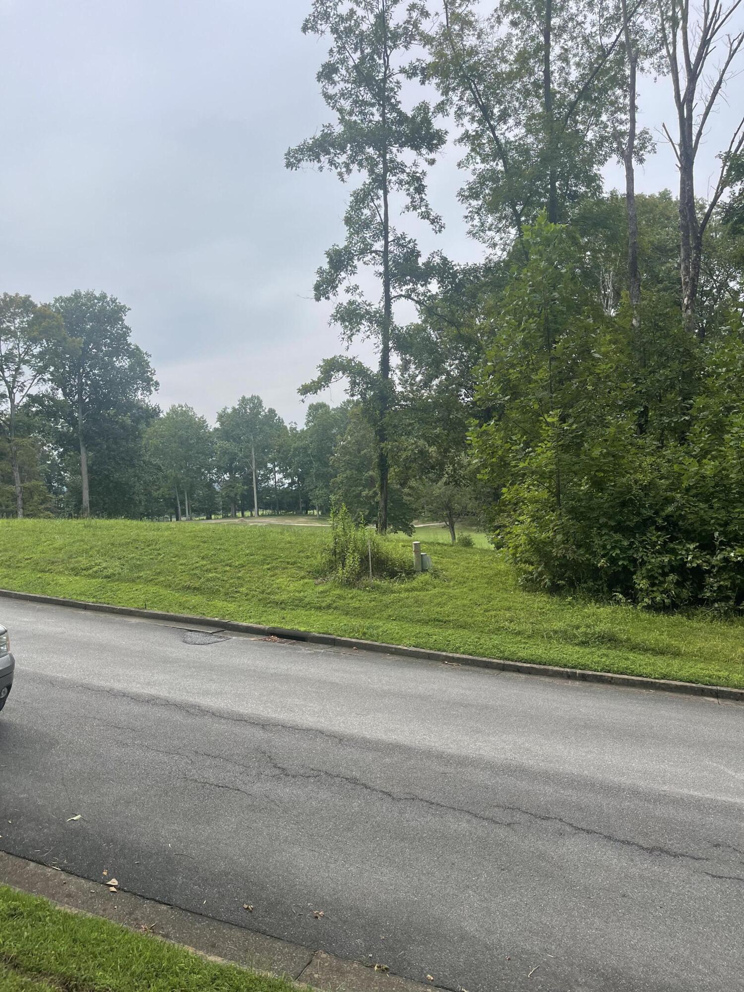 Lot 35 Chimney Top Lane, Unit 35 Chuckey, TN 37641 - Photo 8 of 9 C5C0BBD7-76B0-4115-98E2-BED8F61C7461