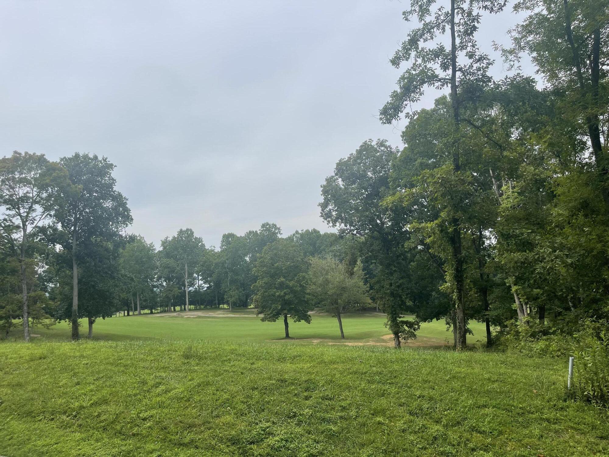 Lot 35 Chimney Top Lane, Unit 35 Chuckey, TN 37641 - Photo 9 of 9 FF8928A3-2F8C-4C67-9CF8-87CFAB5D1269