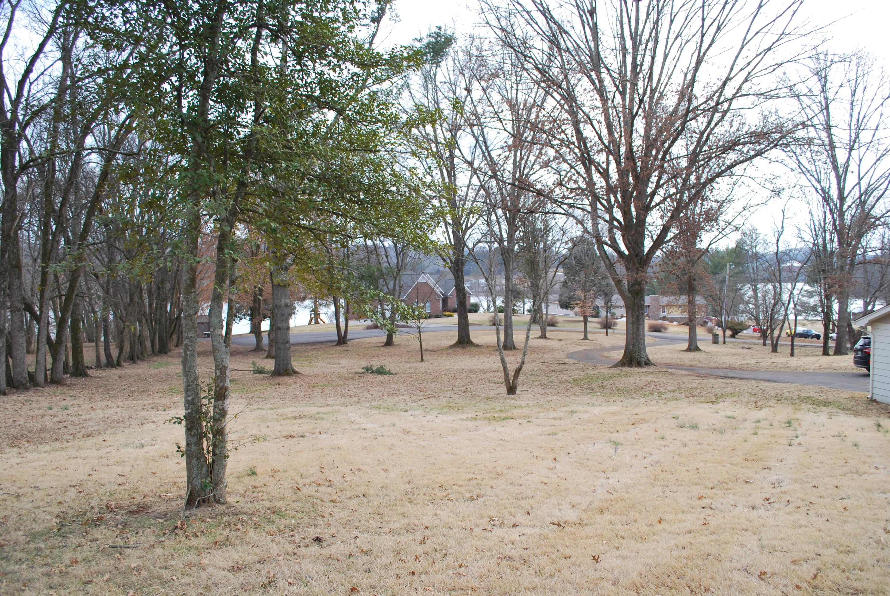 4528 Topside Road Knoxville, TN 37920 - Photo 17 of 17 Side Yard Topside