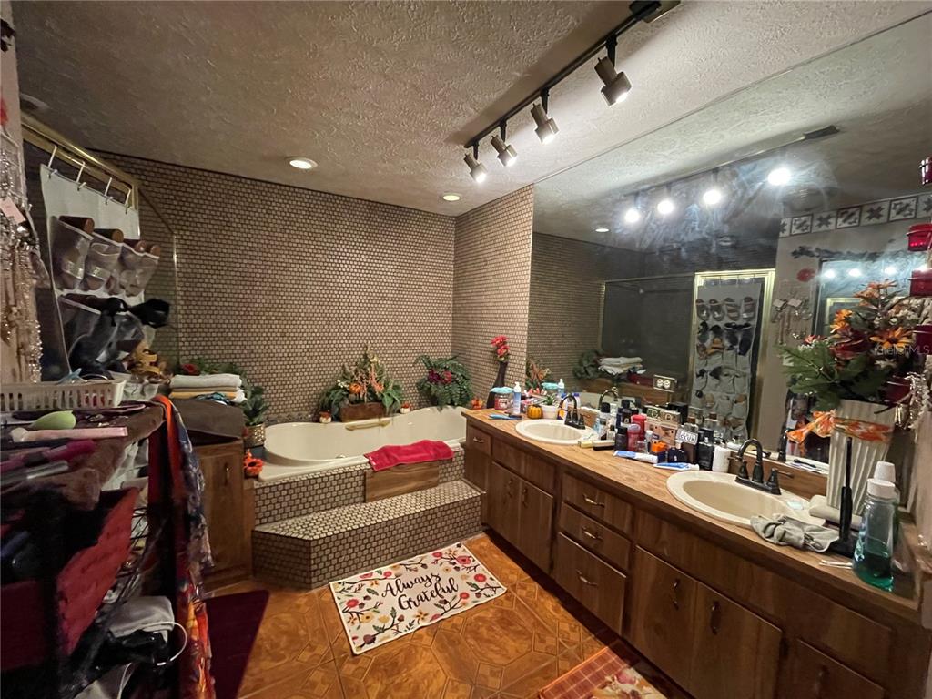 5006 West Sam Allen Road Plant City, FL 33565 - Photo 9 of 14 Master bathroom