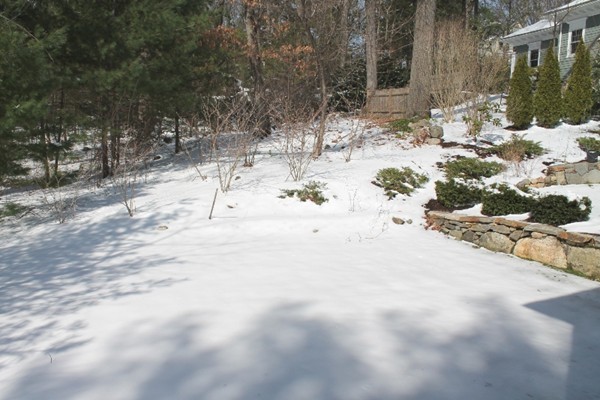 341 Marrett Road, Unit 6 Lexington, MA 02421 - Photo 25 of 25