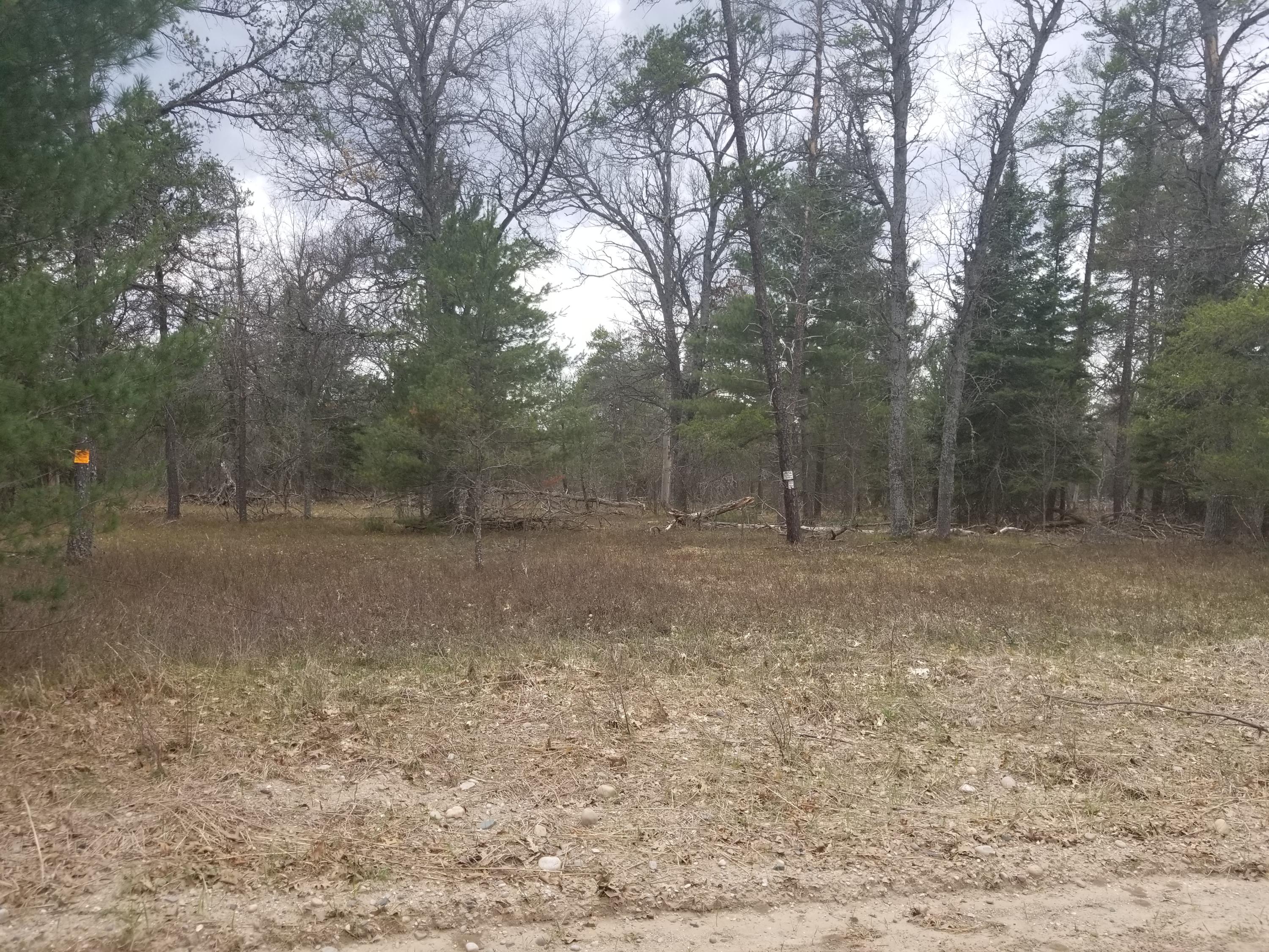 Cherry Creek Road Grayling, MI 49738 - Photo 14 of 18 Gallery Image 14